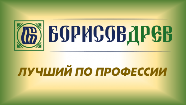 Конкурс профессионального мастерства «Лучший по профессии»