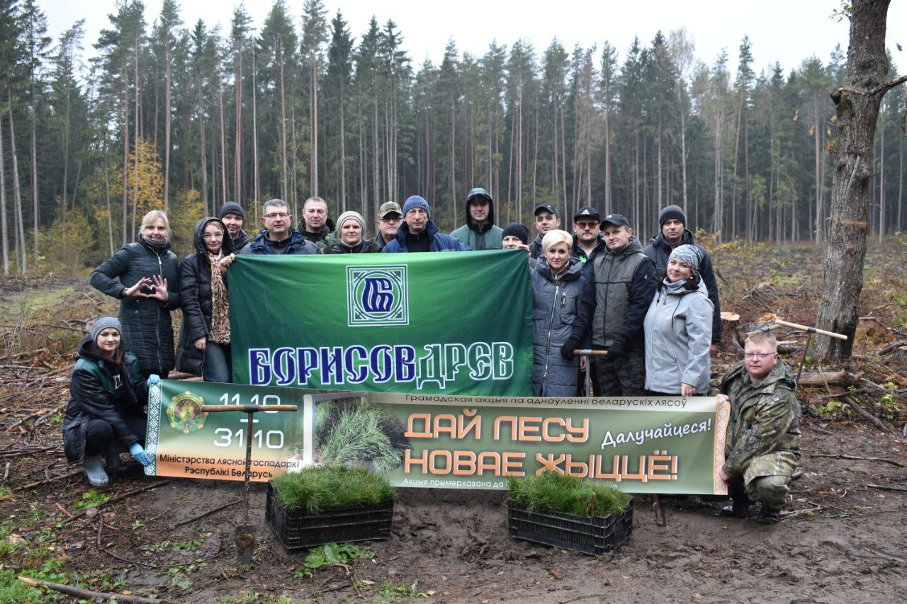 ОАО "Борисовдрев" присоединилось к акции "Дай лесу новае жыццё"