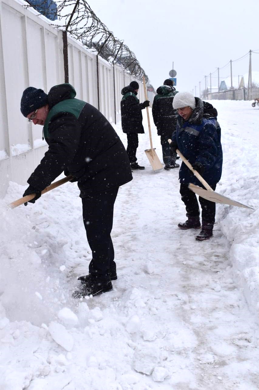 photo 2026 01 09 15 14 47