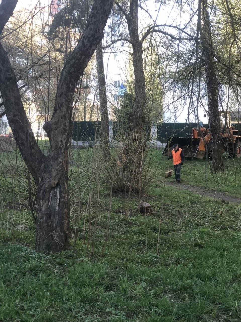 photo 2026 04 23 09 29 49